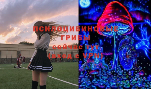 мяу мяу мука Куйбышев
