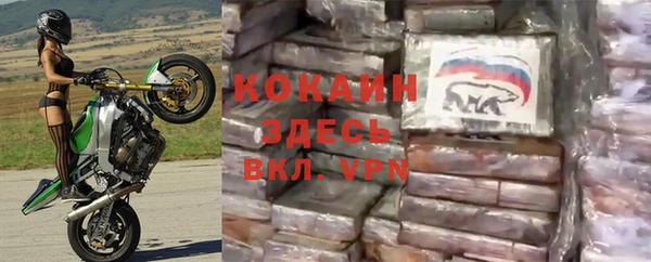 мяу мяу мука Куйбышев