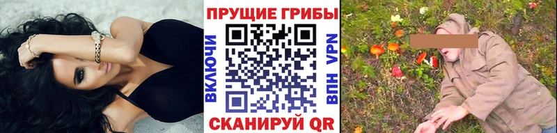 Галлюциногенные грибы прущие грибы  Купить закладки  Приозерск 
